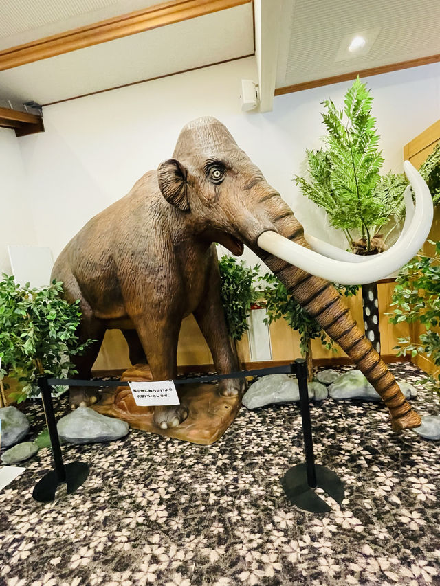 【長崎県:野母崎エリア】野母崎観光のランチにおすすめ！のもん茶屋