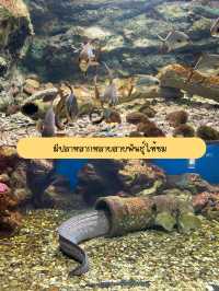 พาแม่เที่ยวอควาเรียม… ดูปลาตัวใหญ่ 🐋🪼✨