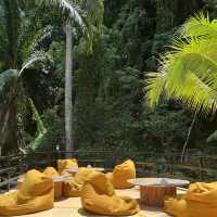 Baan Chang Cafe’ at Krabi🐘☕️🌿🌴🌴