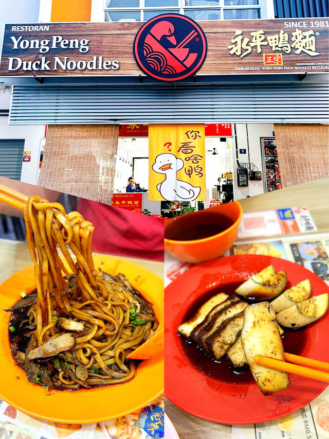 Yong Peng Duck Noodles