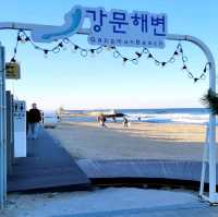 여름엔 강릉! <강문해변>