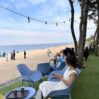 푸르른 동해안의 멋진 데이트장소 고성🌊