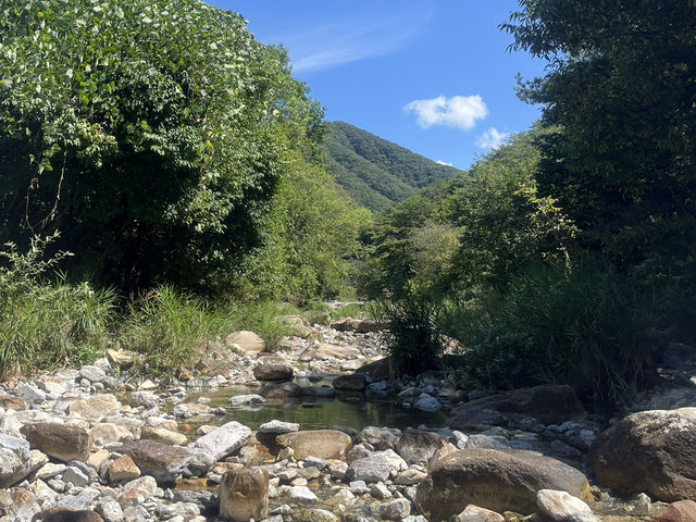 아직도 더운 여름, 괴산 갈론계곡으로 떠나요! 🧊🦦