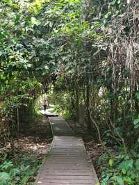 ESCAPE INTO THE WILDERNESS