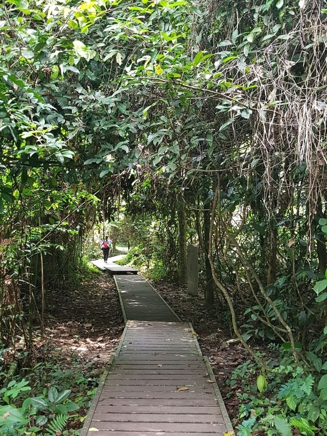 ESCAPE INTO THE WILDERNESS