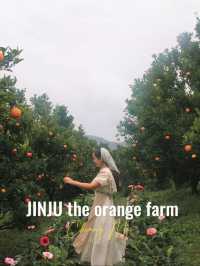 ยกให้เป็นสวนส้ม 🍊🌳 #เชียงใหม่  ฟิลเกาหลีเกาใจสุด