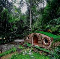  Puradise Private Residence