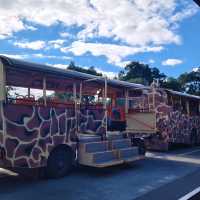 墨爾本威瑞比野生動物園Werribee Open Range Zoo