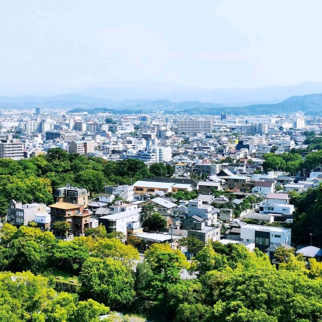 快閃和歌山