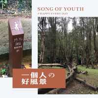 城門水塘原始森林景色👍🏻😎