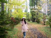 ชมใบไม้เปลี่ยนสีที่ Kawaguchiko Park 