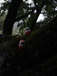 大阪屈指の映えスポット寺 勝尾寺のダルマ