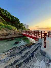 【神奈川】ねこ島🐈絶景夕陽スポットでお散歩