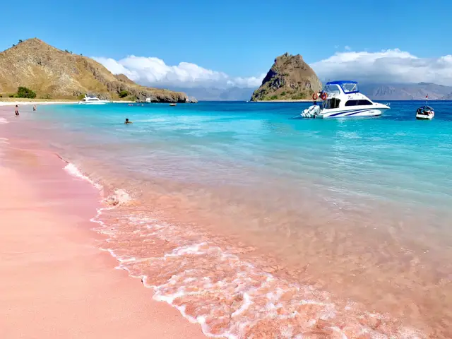 Pink Beach อุทยานแห่งชาติหมู่เกาะ Komodo