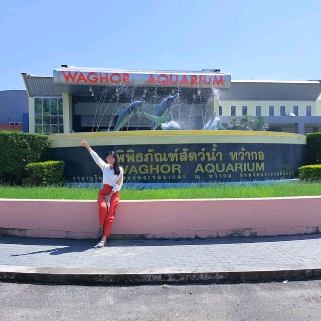 ลิปดารีสอร์ท ที่พักสไตล์ Loft ติดทะเลคลองวาฬ