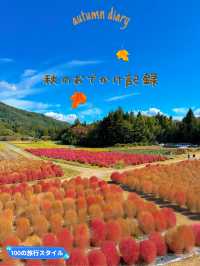 【群馬】秋のおでかけスポット🐿もふもふコキアの季節がやってきた🧡