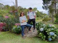 Spring Garden Kundasang, Beautiful floral and landscape
