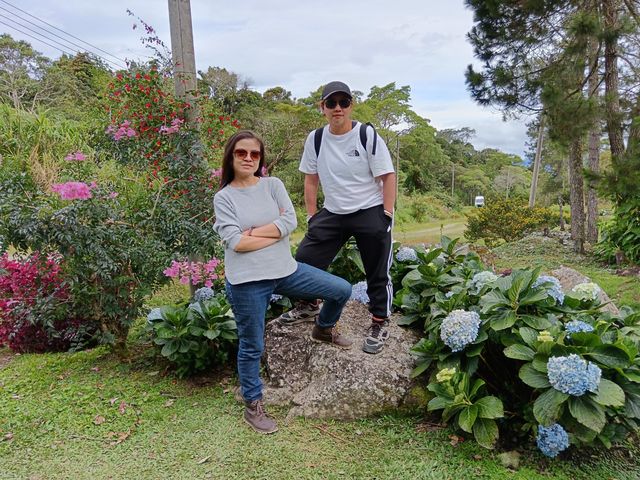 Spring Garden Kundasang, Beautiful floral and landscape