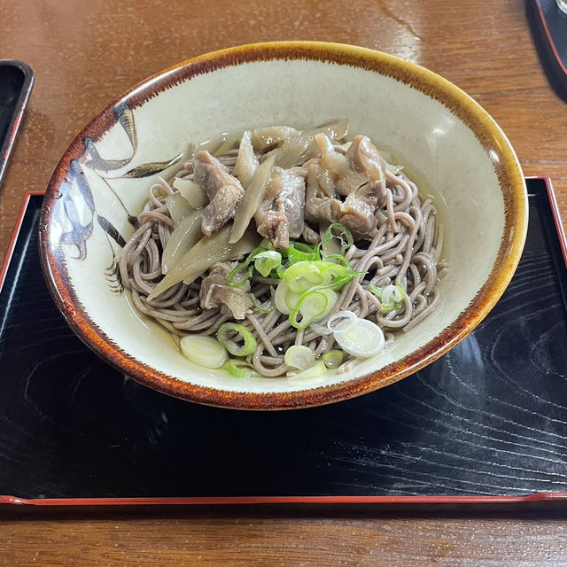 【宮崎】高千穂峡✨自然豊かで心も癒された