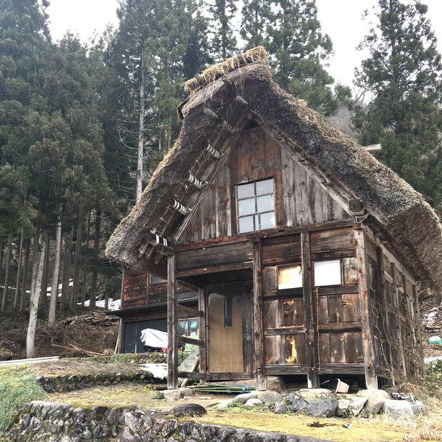 🇯🇵💴Japan Nagoya Trip Shirakawa-go