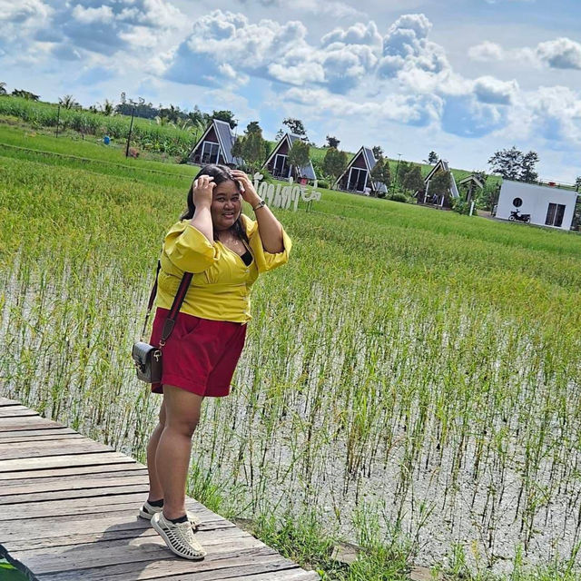 กาแฟบ้านย่า กลางทุ่งนา | สระแก้ว