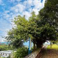 Serene Escape at S2 Hill Park