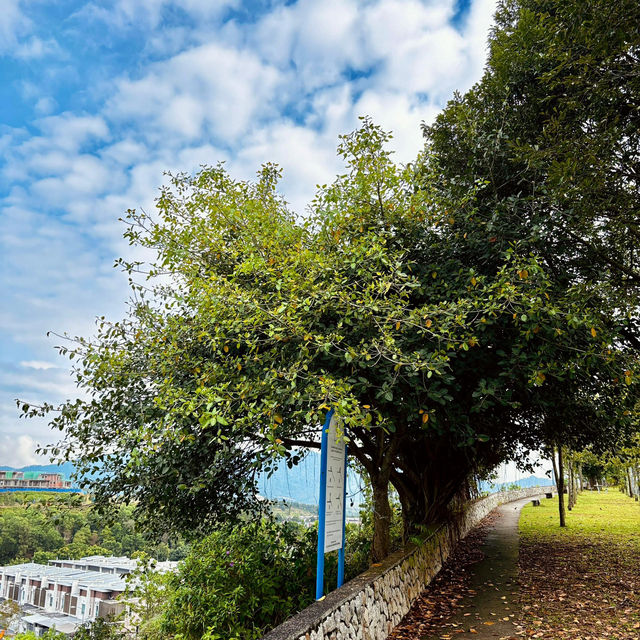 Serene Escape at S2 Hill Park