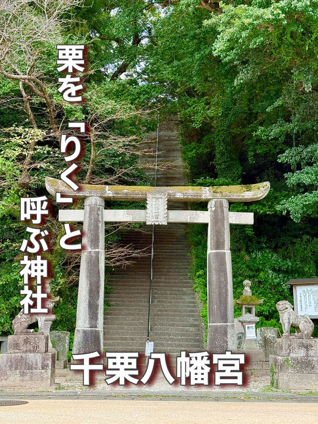 【佐賀県】栗を「りく」と呼ぶ神社