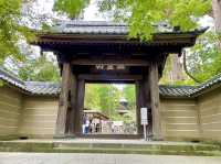 【神奈川県】仏殿の天井画を仰ぎ見る