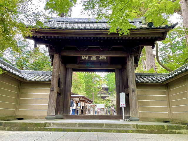 【神奈川県】仏殿の天井画を仰ぎ見る