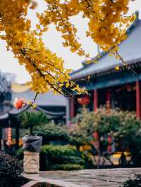 青島法海寺