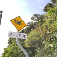 【沖縄】沖縄ウミカジテラス：美しい風景と食文化を楽しむ散策スポット