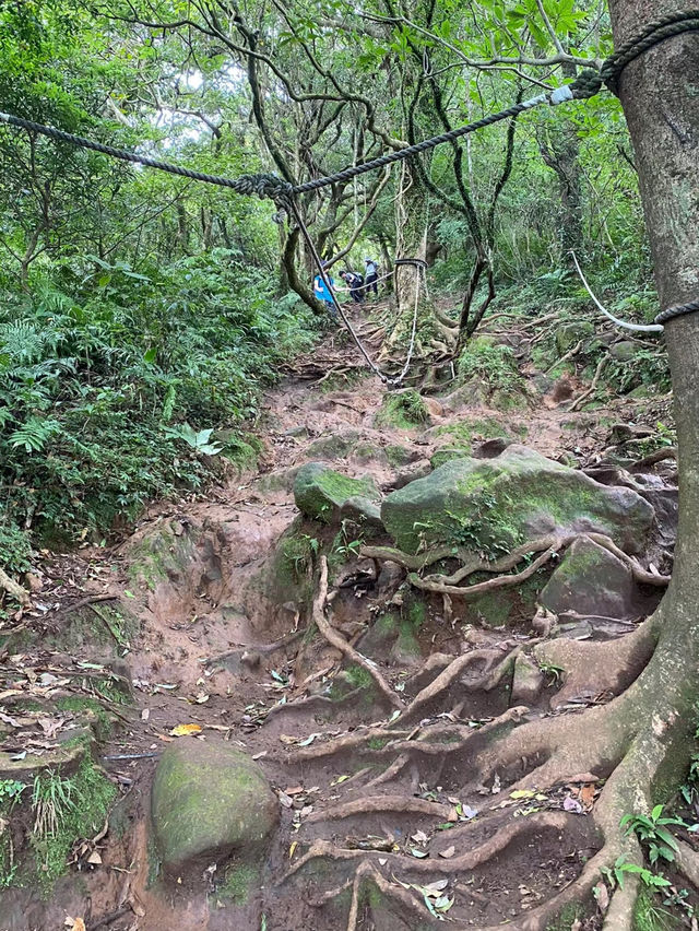 趕快來挑戰自己「陽明山東西大縱走」
