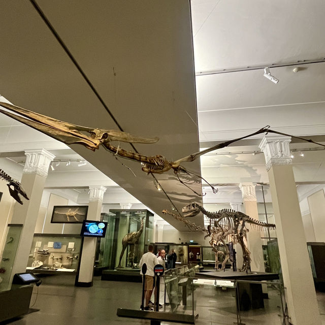 🏛️✨ Discover History at the Auckland War Museum! ✨🏛️