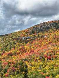 A beautiful view of the fall colors🍀