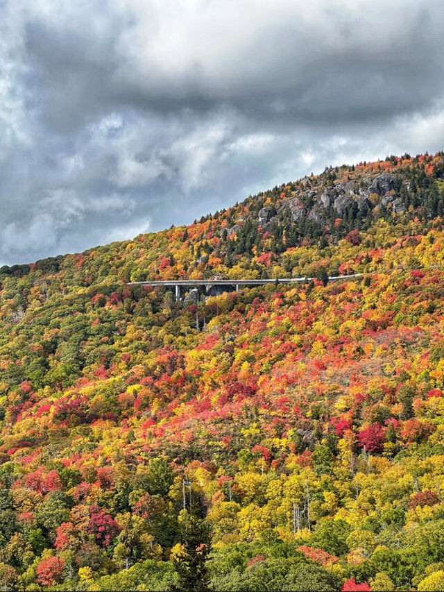 A beautiful view of the fall colors🍀