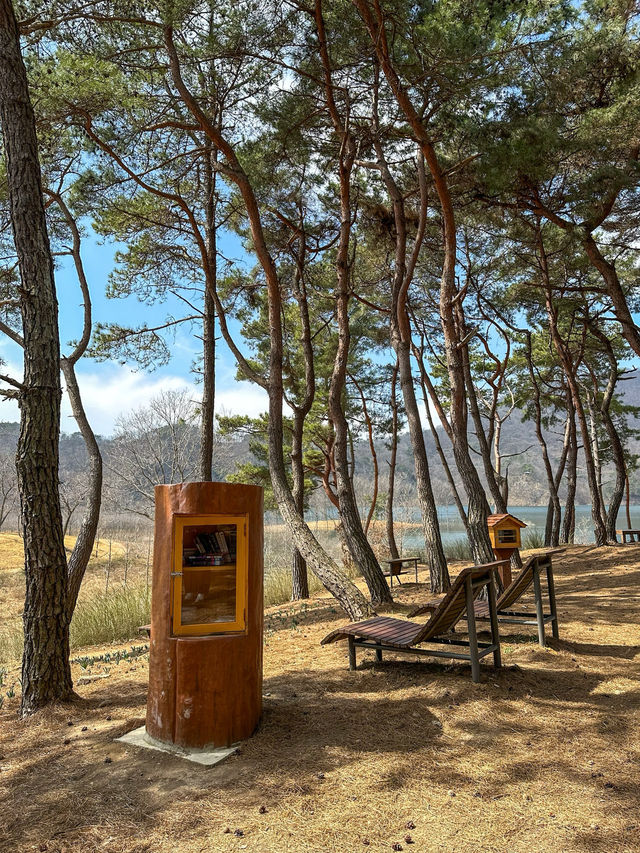 요즘 핫한 임실 여행지 ‘옥정호 출렁다리’