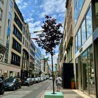 "Hanseatic Heritage: Hamburg Exploration"