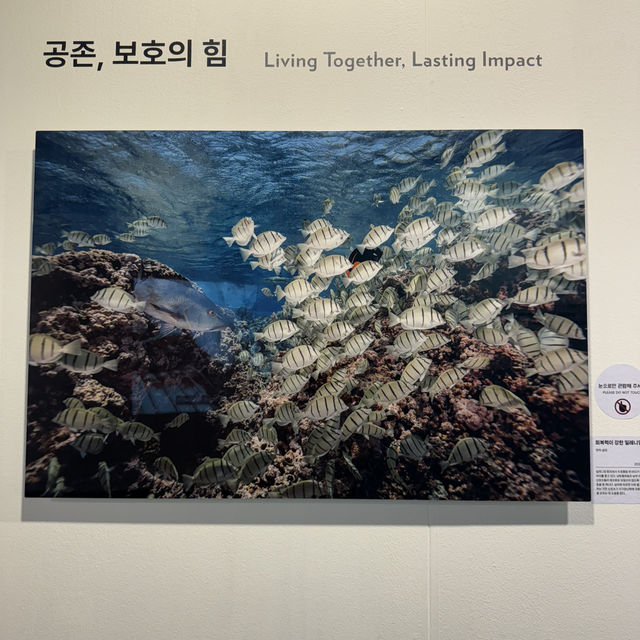 무료로 관람 가능한 전시팝업