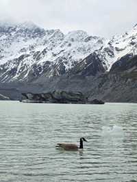 紐西蘭Hooker Valley track！散散步就能看到美景！