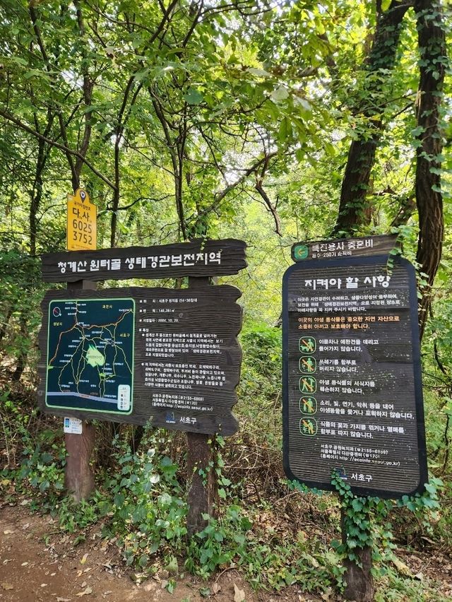 🤍날 좋은 가을 등산데이트하기 좋은 서울근교 산, "청계산"🤍