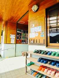 【奄美大島】マングローブカヌー体験にあると便利な持ち物リスト！