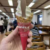 【栃木】色々な動物と触れ合える入場無料の牧場🐮