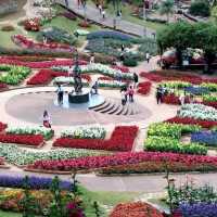 อัพเดท สวนดอกไม้เมืองหนาว ดอยตุง เชียงราย