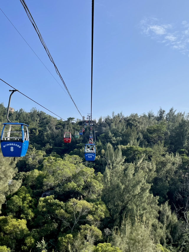 廈門旅遊～登高賞景 好刺激！
