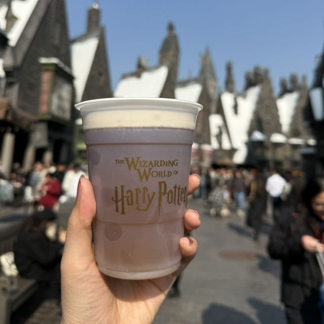 Universal Beijing Resort