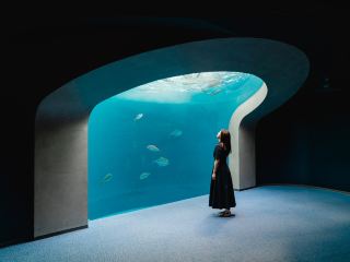 【香川】彷彿置身美術館？🫧四國水族館