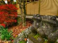 【佐賀県】息を呑む逆さ紅葉のリフレクション！環境芸術の森