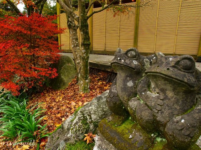 【佐賀県】息を呑む逆さ紅葉のリフレクション！環境芸術の森