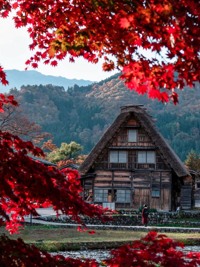 Trip to Shirakawa-go, Japan 🇯🇵 